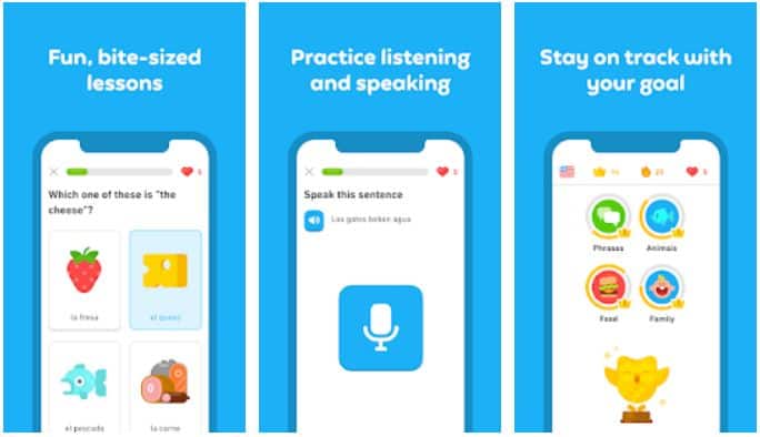 Duolingo Learn Languages Free Apps on Google Play